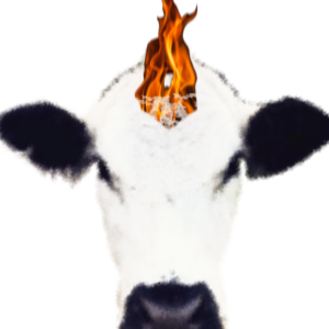 The Spark: Tending Winter's Creative Fires