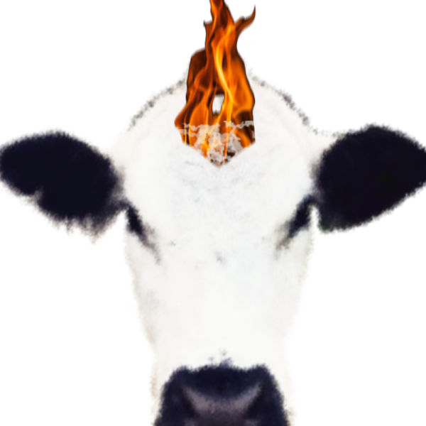 The Spark: Tending Winter's Creative Fires